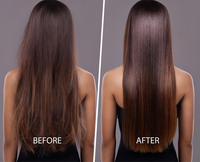 fredgee hair